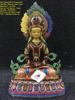 Tôn Tượng Phật Vô Lượng Thọ