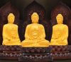Tôn Tượng Phật & Bồ Tát ( 9 mẫu ) - anh 2